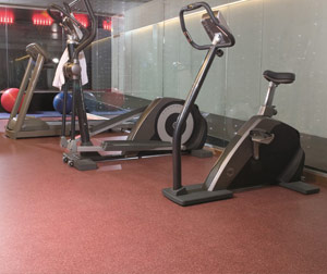 Flextec Flooring Gym Image